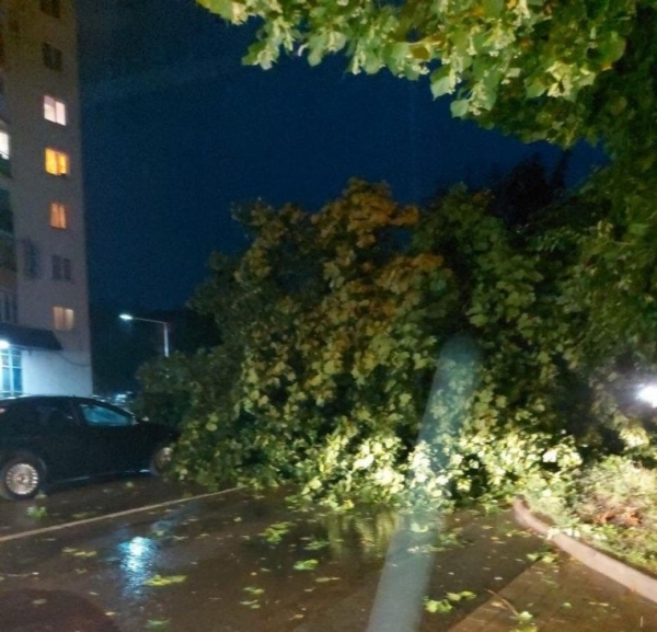 На Львовщину обрушился ураган: двое погибших