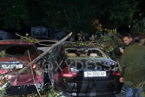На парковке в Одессе рухнуло дерево: пострадали восемь автомобилей