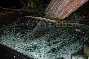 На парковке в Одессе рухнуло дерево: пострадали восемь автомобилей