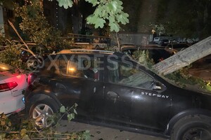 На парковке в Одессе рухнуло дерево: пострадали восемь автомобилей