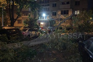 На парковке в Одессе рухнуло дерево: пострадали восемь автомобилей