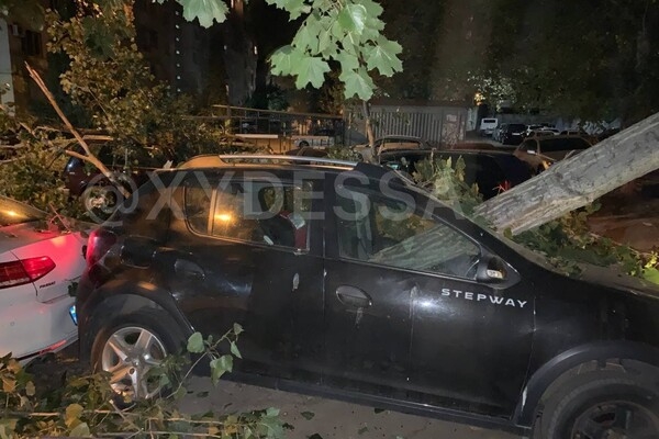 На парковке в Одессе рухнуло дерево: пострадали восемь автомобилей
