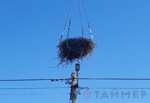 В Березовском районе электрики укрепили 100-килограммовое аистиное гнездо