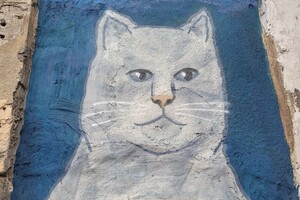 В Одессе появилось новое "кошачье" граффити: фотоотчет