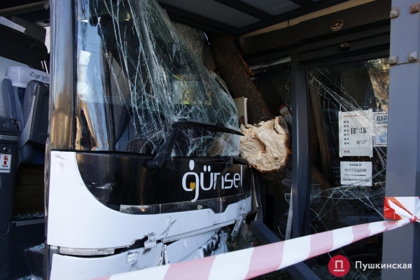 В Одессе автобус попал в ДТП: вылетел на встречку, снес дерево и врезался в мотосалон. Фото, обновлено