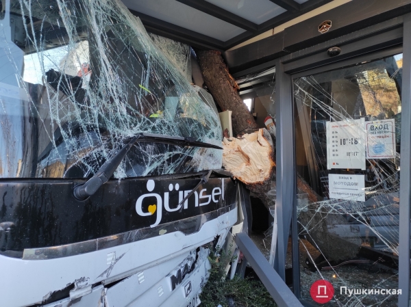 В Одессе автобус попал в ДТП: вылетел на встречку, снес дерево и врезался в мотосалон. Фото, обновлено