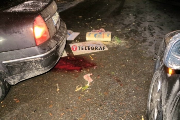 Под Киевом дерево упало на авто и вызвало ДТП: у пострадавшего оторвало ногу