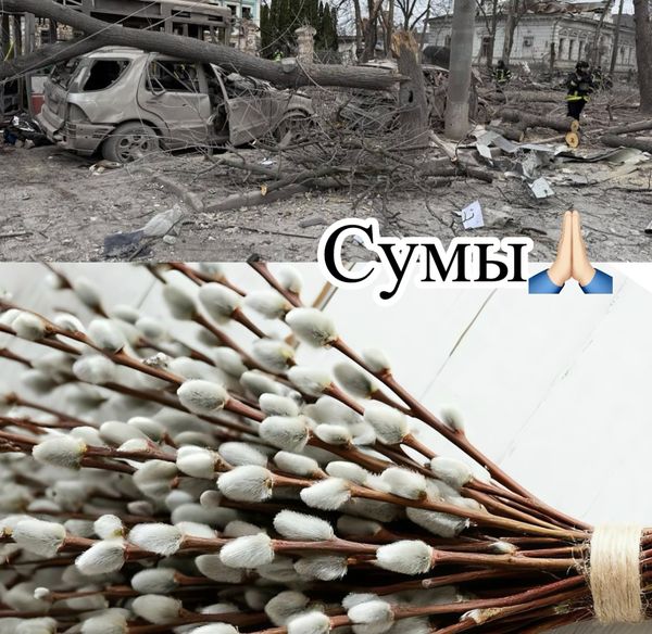 «Як це можливо??? Суми — душею з вами»: Максим Галкін відреагував на теракт окупантів