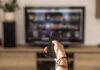 10 минисериалов на Netflix с украинской озвучкой, которые можно посмотреть за выходные