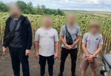 Пешком в Молдову за более чем две тысячи долларов: в Одесской области разоблачили парня-переправителя