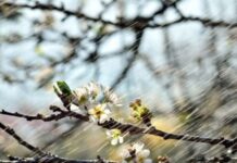 До +19 °С, но не без дождей: какая погода будет в Одессе в эти выходные
